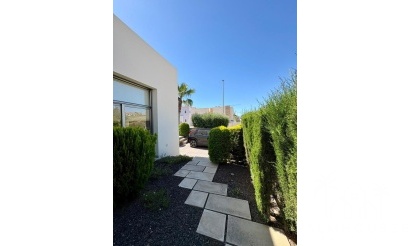 Revente - Villa - Benijofar - Costa Blanca