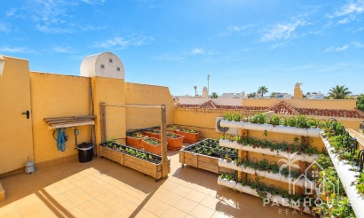 Revente - Maison - Rojales - Ciudad Quesada