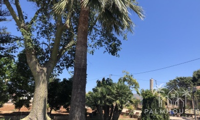 Herverkoop - Country house - Ondara - Ondara Centro