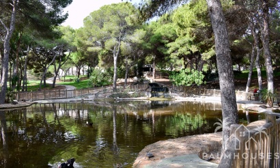 Revente - Plot - Guardamar del Segura - Guardamar del Segura Centro