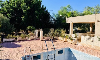 Venta - Villa - Crevillent - Inland