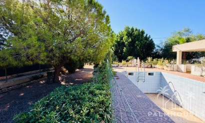 Venta - Villa - Crevillent - Inland