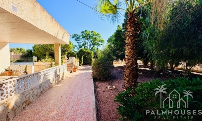 Venta - Villa - Crevillent - Inland