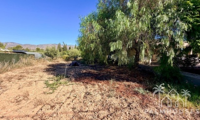 Venta - Villa - Crevillent - Inland