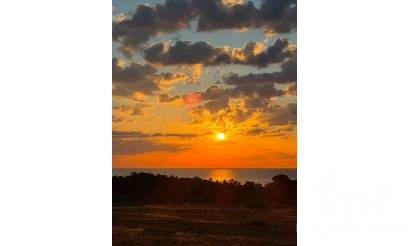 Revente - Apartment - Orihuela - Punta Prima