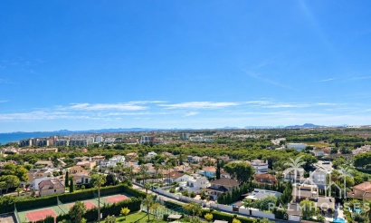 Revente - Apartment - Orihuela Costa - Campoamor