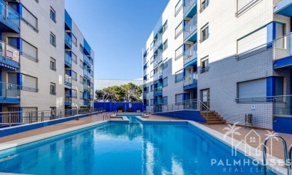 Revente - Apartment - Torrevieja - Torrevieja Centro