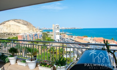 Venta - Apartment - Alicante - Alicante Centro
