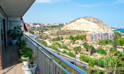 Venta - Apartment - Alicante - Alicante Centro