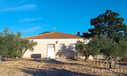 Herverkoop - Country house - Yecla - Yecla Centro
