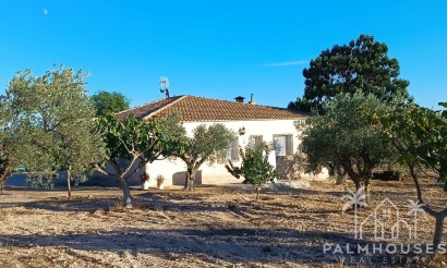 Herverkoop - Country house - Yecla - Yecla Centro