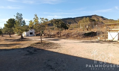 Herverkoop - Country house - Yecla - Yecla Centro