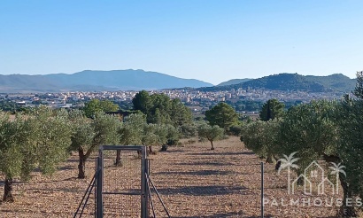 Herverkoop - Country house - Yecla - Yecla Centro