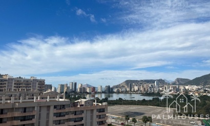 Nueva construcción  - Villa - Calpe - 
