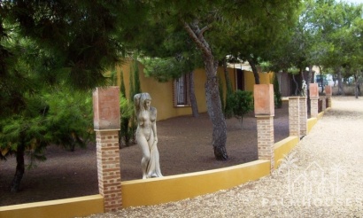 Revente - Finca - Ciudad Quesada - Lo Pepin