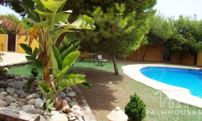 Revente - Finca - Ciudad Quesada - Lo Pepin