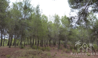 Venta - Finca - Ibi - Ibi - Country