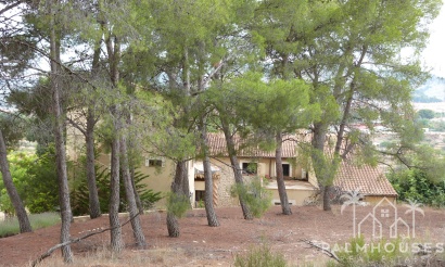 Venta - Finca - Ibi - Ibi - Country