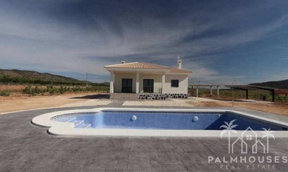 Nouvelle construction - Villa - Pinoso - Camino Del Prado