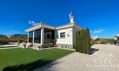 Nouvelle construction - Villa - Pinoso - Camino Del Prado