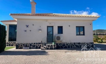 Nouvelle construction - Villa - Pinoso - Camino Del Prado