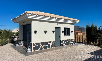 Nouvelle construction - Villa - Pinoso - Camino Del Prado