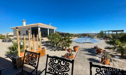 Nouvelle construction - Villa - Pinoso - Camino Del Prado