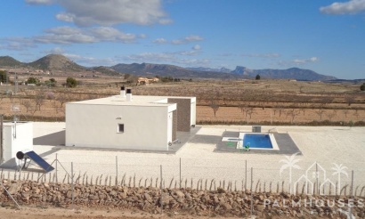 Nouvelle construction - Villa - Pinoso - Camino Del Prado