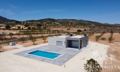 Nouvelle construction - Villa - Pinoso - Camino Del Prado
