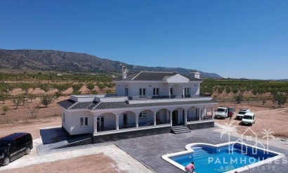 Nieuwbouw - Villa - Pinoso - Camino Del Prado