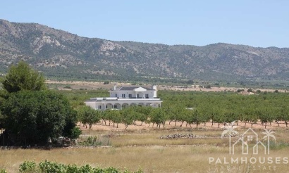 Nieuwbouw - Villa - Pinoso - Camino Del Prado