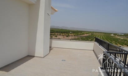 Nouvelle construction - Villa - Pinoso - Camino Del Prado