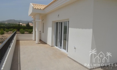 Nouvelle construction - Villa - Pinoso - Camino Del Prado