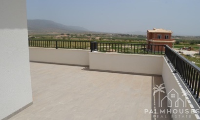 Nouvelle construction - Villa - Pinoso - Camino Del Prado