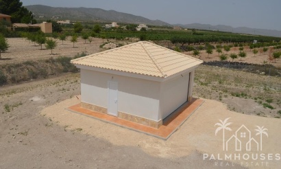 Nouvelle construction - Villa - Pinoso - Camino Del Prado
