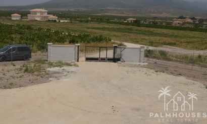 Nouvelle construction - Villa - Pinoso - Camino Del Prado