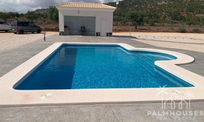 Nieuwbouw - Villa - Pinoso - Camino Del Prado