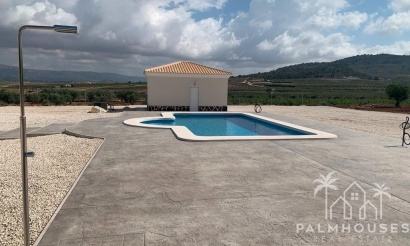 Nieuwbouw - Villa - Pinoso - Camino Del Prado