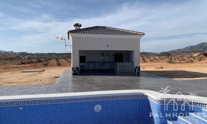 Nouvelle construction - Villa - Pinoso - Camino Del Prado