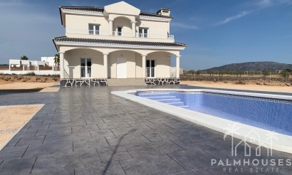 Nouvelle construction - Villa - Pinoso - Camino Del Prado