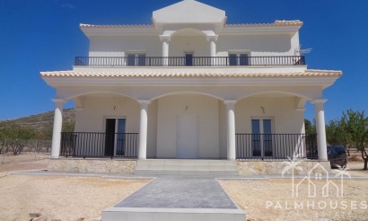 Nouvelle construction - Villa - Pinoso - Camino Del Prado