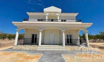 Nouvelle construction - Villa - Pinoso - Camino Del Prado