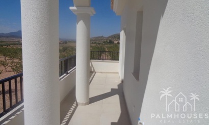 Nouvelle construction - Villa - Pinoso - Camino Del Prado