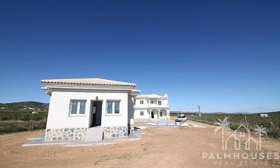 Nouvelle construction - Villa - Pinoso - Camino Del Prado