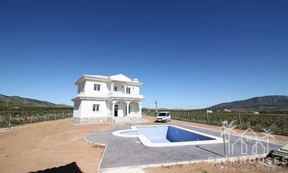 Nouvelle construction - Villa - Pinoso - Camino Del Prado
