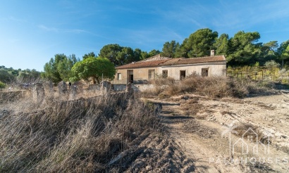Revente - Finca - Pilar de La Horadada - Pinar de la Perdiz