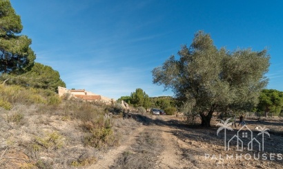 Revente - Finca - Pilar de La Horadada - Pinar de la Perdiz