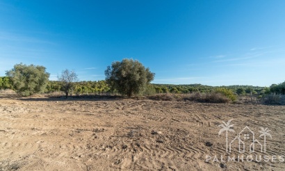 Revente - Finca - Pilar de La Horadada - Pinar de la Perdiz