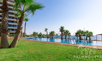 Nouvelle construction - Apartment - Torrevieja - Punta Prima