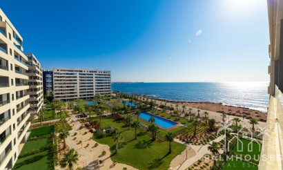 Nouvelle construction - Apartment - Torrevieja - Punta Prima